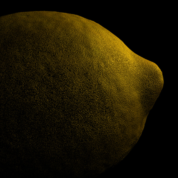 An image of the lemon in the style of filmmaker Hollis Frampton